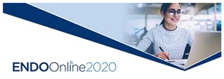 The Endocrine Society (ENDO) | ENDO 2020 Logo